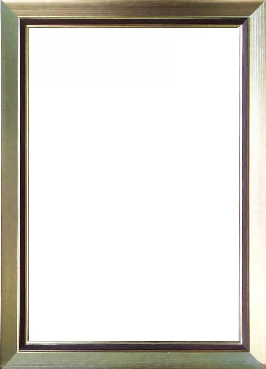 Рама багетная 50x70 для картин, золотая-коричневая - 2,5 см, классическая, пластиковая, с креплением, 722-44
