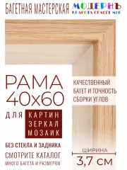 Рама багетная 40x60 для картин и зеркал - 3,7 см, классическая, пластиковая, с креплением, М-16-2