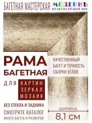 Багетная рама 50x55 для картин и зеркал, ширина - 8,1 см, классическая, пластиковая, с креплением, 142-19
