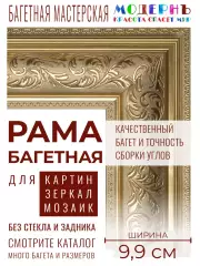 Багетная рама 80x100 для картин и зеркал, классическая, пластиковая, с креплением, 157-01