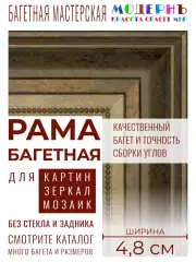 Рама багетная 50x100 для картин и зеркал, темно-коричневая-золотая - 4,8 см, классическая, пластиковая,  с креплением, 715-11