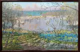 Картина. Александр Давыдов. Весна на реке Воронеж. холст, масло, 38х60 см. Авторская живопись.