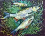 Картина. Светлана Володина Этюд с рыбой холст, масло, 40х50 см. Авторская живопись.